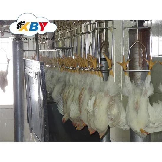 Used to Bird Chicken Poultry Slaughtering Equipment/Poultry Slaughter/Slaughter Machine