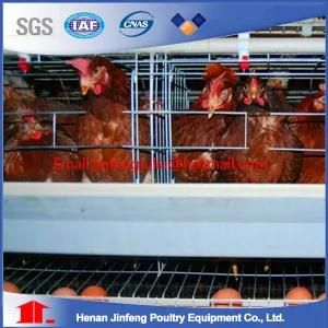 Automatic H Type Chicken Cage Poultry Equipment