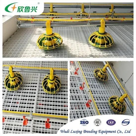 Automatic Poultry Feeding Drinking System Ground Floor Raising Keeping Equipment for ...