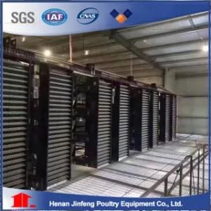 High Quality H Type Automated Chicken Layer Battery Cage