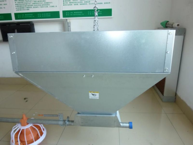 Modern and Advanced Automatic Poultry Equipment for Broiler/Breeder/Layer Chicken