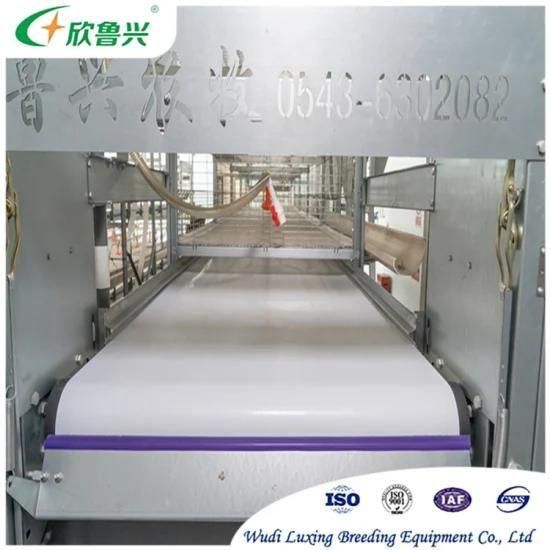 Factory Supply Automatic Manure / Dung Cleaning System for Poultry Farm