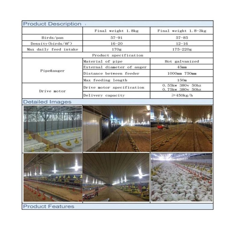 High - End and Upper - Class Broiler Flat Breeding Equipment