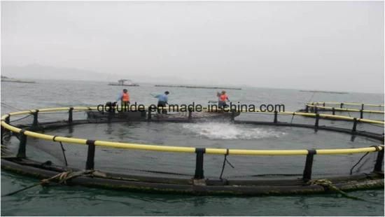 Deep Water Opening Aquaculture Fish Net Cage
