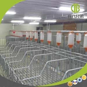 New Type Galvanized Gestation Stall Use for Modern Farm