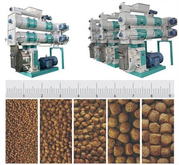 Cattle Feed Pellet Mill Machine for Sale