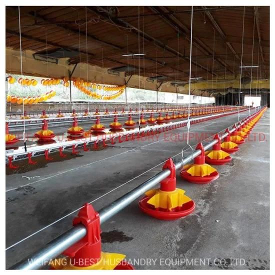 Chicken Poultry Farm Equipment for Broiler House Floor Ground Automatic Pan Feeding System