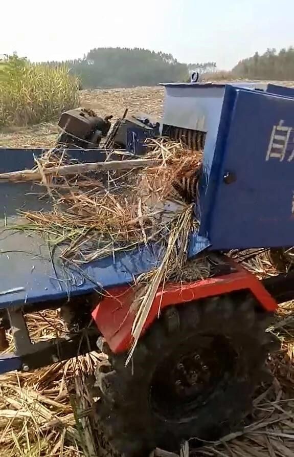 Advanced Tractor Type Sugarcane Leves, Leaf Peeler, Peeler Machine, Barker, Farm Machine