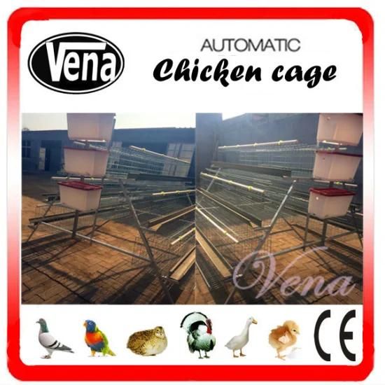 Chicken Cage with Automatic Drinker System