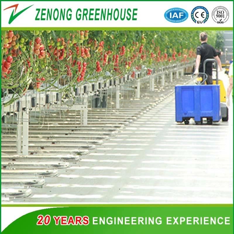 Lifting Platform for Greenhouse Vegetable Fruit Picking