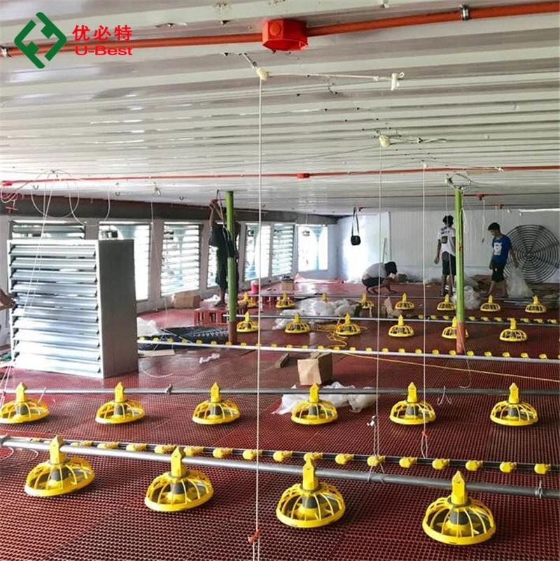 Low Price and High Quality Chicken Farm Equipment Pan Feeding System