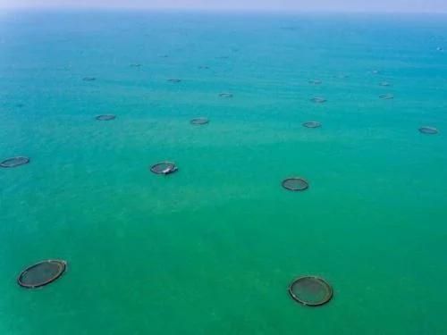 Anti-Cyclone Shoreline Navigation Buoy Solar Deep Sea Aquaculture Fish Cage
