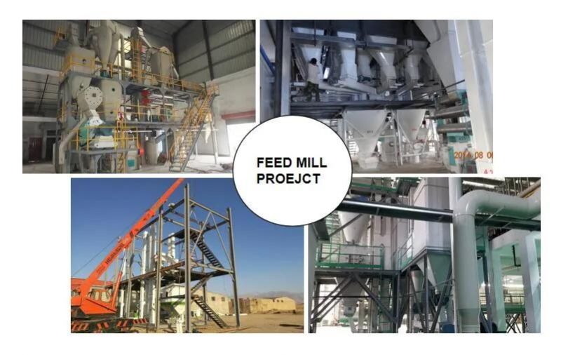 Easy Operation SKF Bearings Aqua Chicken Feed Machine Production Plant