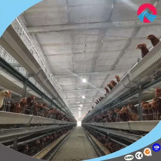 Automatic H Type Poultry Battery Cage for Layer Chicken Poultry Farm