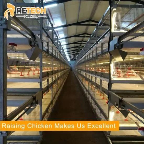 Poultry Feeding System for H Type Broiler Chicken Cage