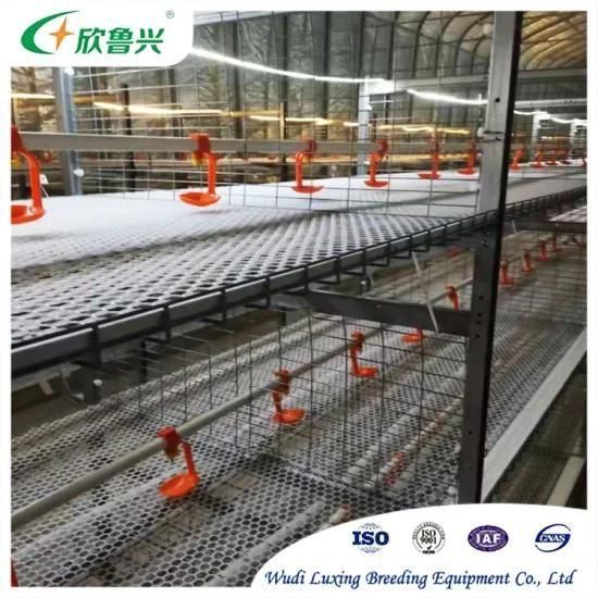 Attractive Price New Type Broiler Rearing Cage Chicken Automatic Layer Manufacture Poultry ...