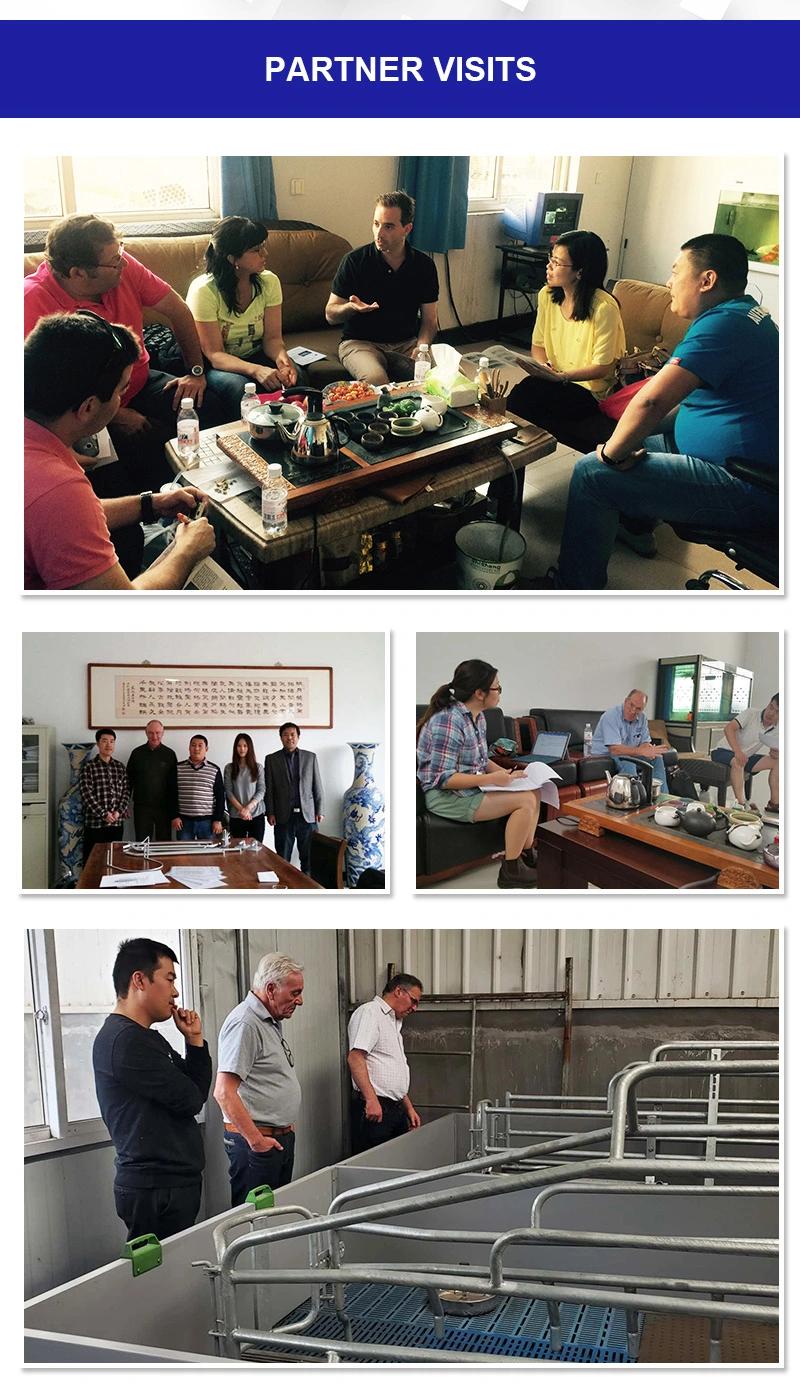 China-Made Farrowing Pen for Sale of Pig Raising Equipment