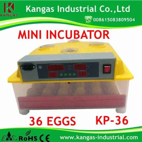 Top Sale Cheapest Mini Chicken Egg Incubator CE Marked (KP-36)