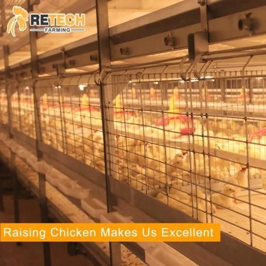 Automatic Broiler Battery Cage with Birds-harvesting System