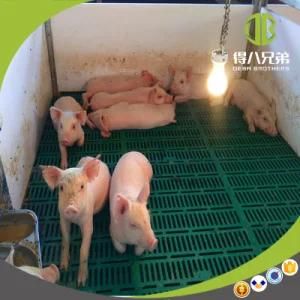 Quality Custom Pig Project Nusery Stall Products