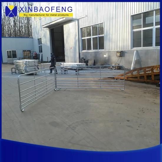 Galvanized Pipe Welded Cattle Fence/Horse Fence/Sheep Fence/Livestock Fence