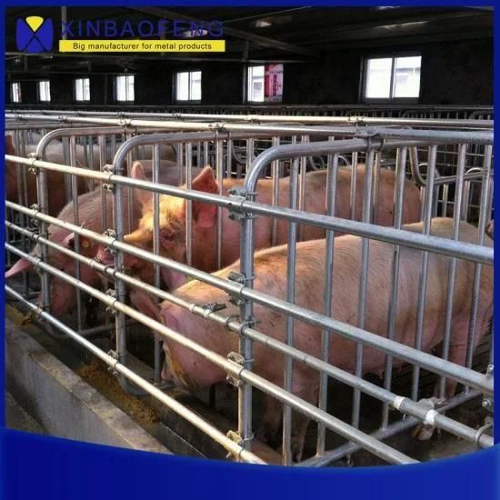 Pig Farm Machinery Galvanized Pig Farrowing Crate