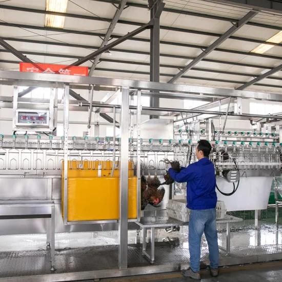 500bph Automatic Compact Poultry Slaughtering Production Line for Broiler