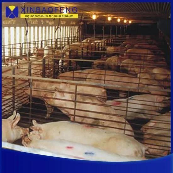 Pig Farm Equipment Pig Farrowing Crate Pig Stall