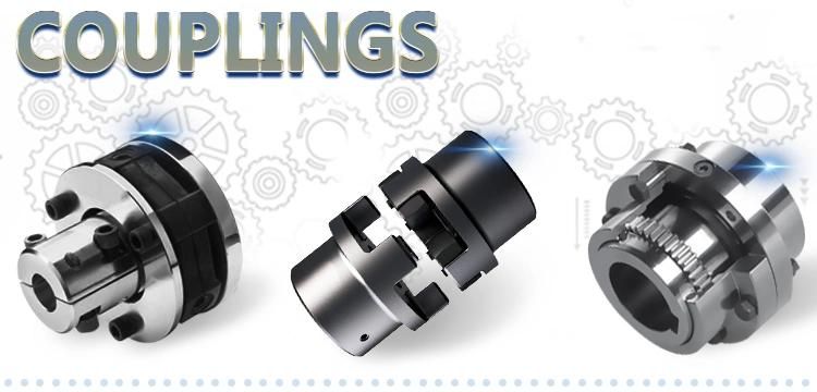 Convenient Reliable Operation Long Srvice Life Chain Coupling