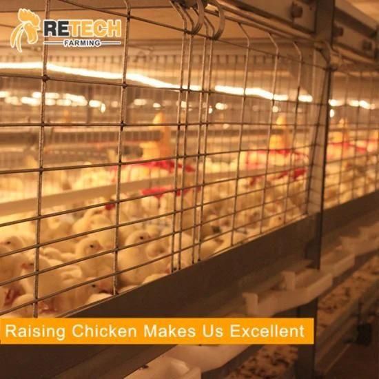 Automatic Broiler Poultry Farm Pan Chicken Feeder and drinkers