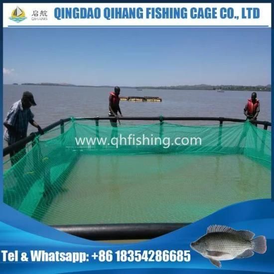 Tilapia Fish Farming Cage for Uganda Market