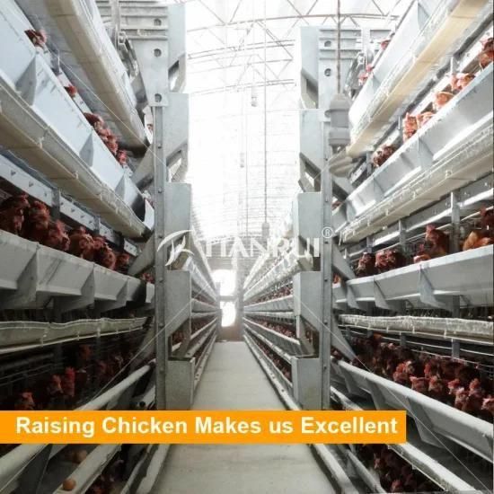 Automatic Battery Layer Egg Chicken Cage
