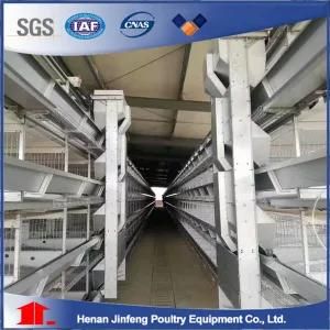 Jinfeng H Type Chicken Cage System for Poultry Farm Broiler/ Layer Battery Cage Birds Cage ...