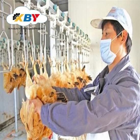 2019 New Poultry Slaughtering Equipment for Chicken Farm Abattoir Machine