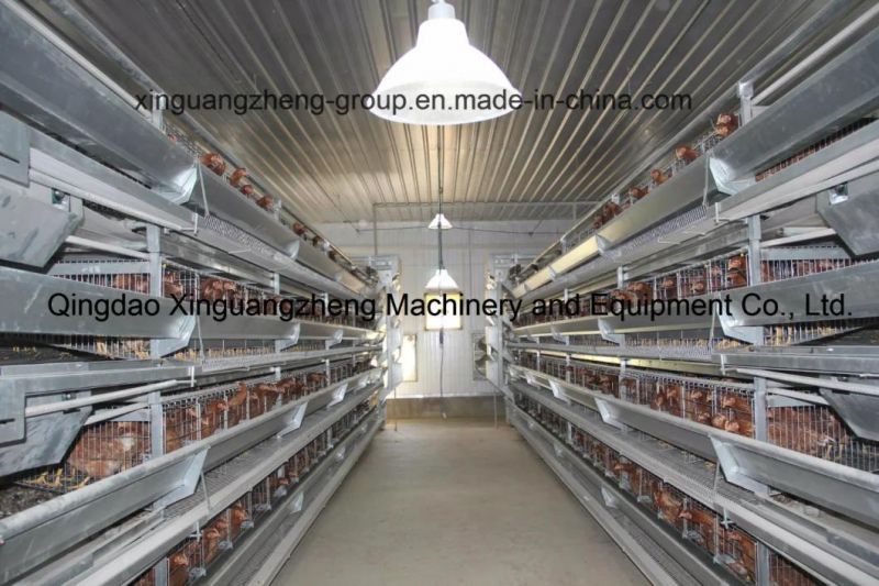 Bch001-Steel Structure Poultry House Integrated Auto- Breeding Equipment Farm, Saving Two Container Ocean Freight