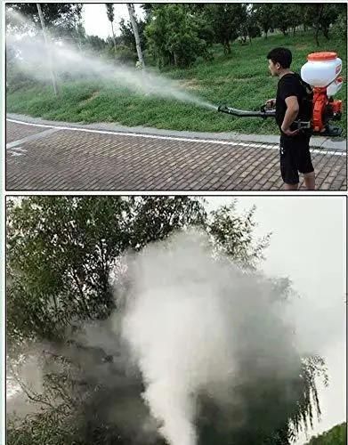 China Agricultural Garden Gasoline Knapsack & Backpack Mist Dust & Power Sprayer Fog Machine with Garden Tool (3WF-20)