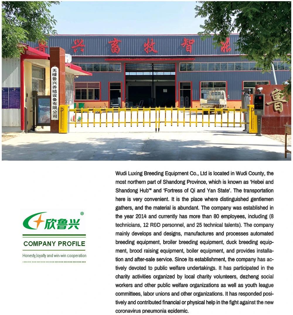 modern Design Broiler Cage Automatic Poultry Farming Equipment