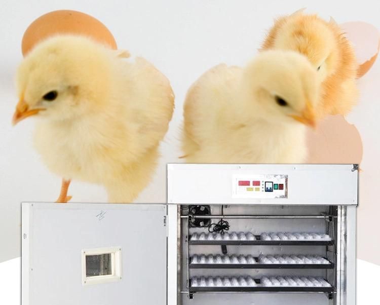 Automatic Goose Quail Duck Chicken Eggs Incubator Egg Hatching Machine