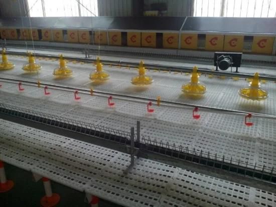 High Quality Breeding Plastic Slat Floor for Chicken Poultry Farm Equipment