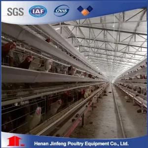 Fully Automatic Chicken Layer Cage for Poultry Farms