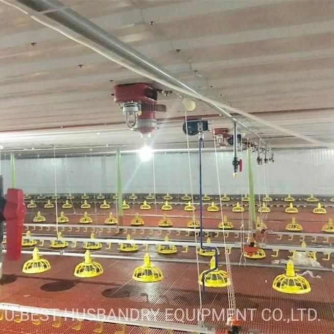 Good Cost Automatic Equipment Chicken Egg House Poultry Farm