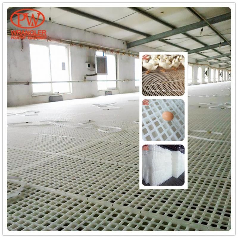 Poultry Plastic Slat Floor with Broiler Farm Poultry Slats