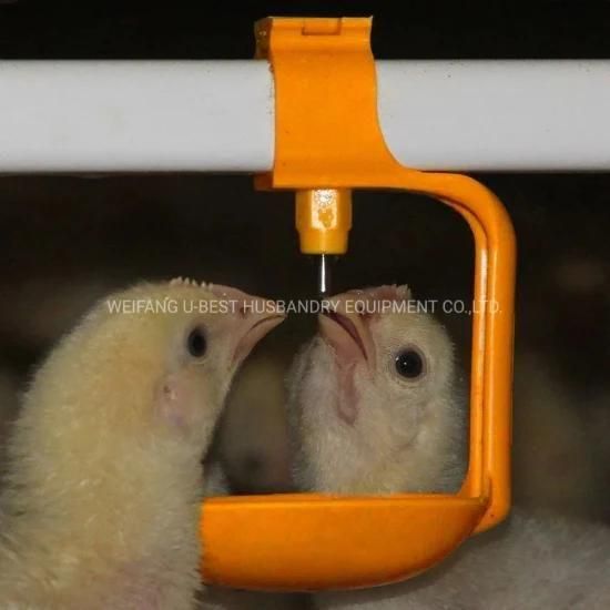 Automatic Chicken Nipple Drinker Poultry Water with Cup