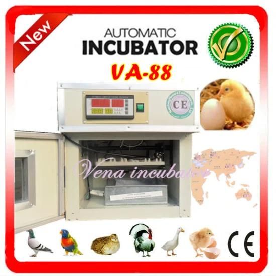 Best Selling Mini Digital-Automatic Commerical Egg Incubator for Sale in Chennai