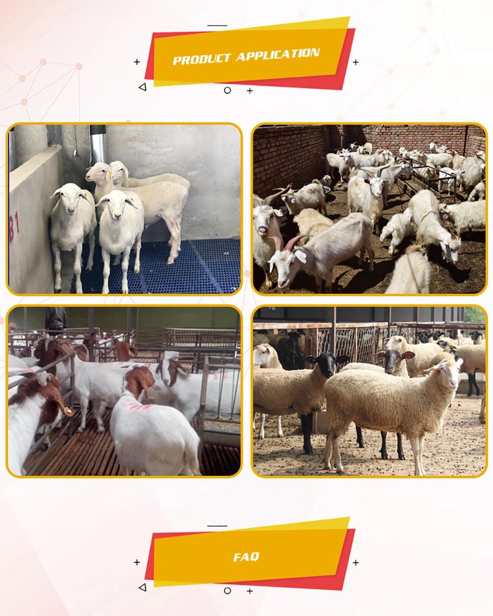 Agricultural Equipment, Livestock Equipment, Hot-DIP Galvanized Fence, Yard Fence, Cattle and Horse Fence, Panel Sheep Fence