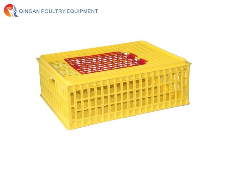Breeder Duck Broiler Layer Egg Chicken Box Poultry Farm Plastic Chicken Transport Cage
