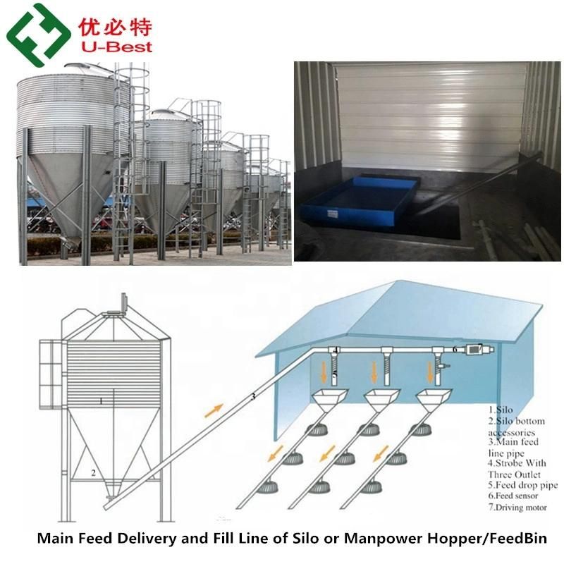 Chicken Farm Equipment Automatic Auger Feeder and Drinking System