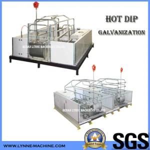 Livestock Raising Breeding Galvanized Steel Sow Pig Cage From China Supplier