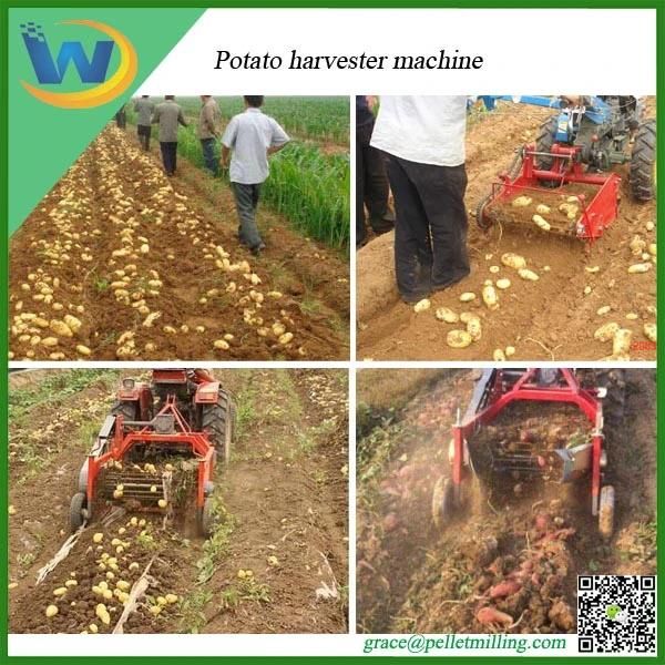 Selling Peanut Potato Harvester Harvesting Machine