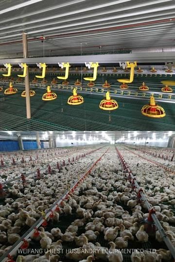 Double Deck Philippines Houses Prefabricated Tunnel Ventilation System Poultry House for Chicken Farm